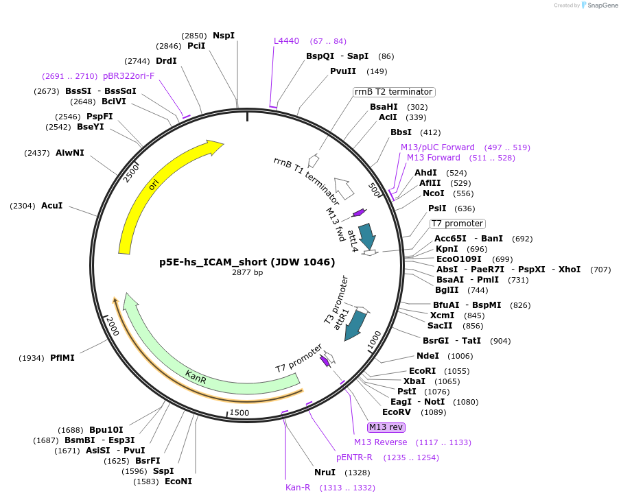 447145_map
