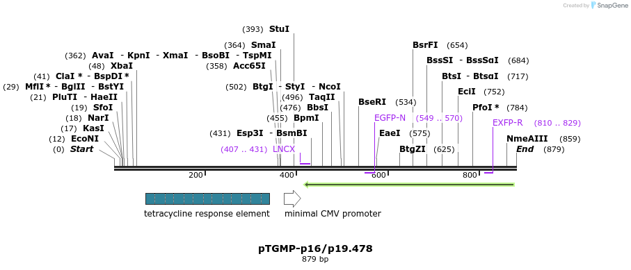 44718_map