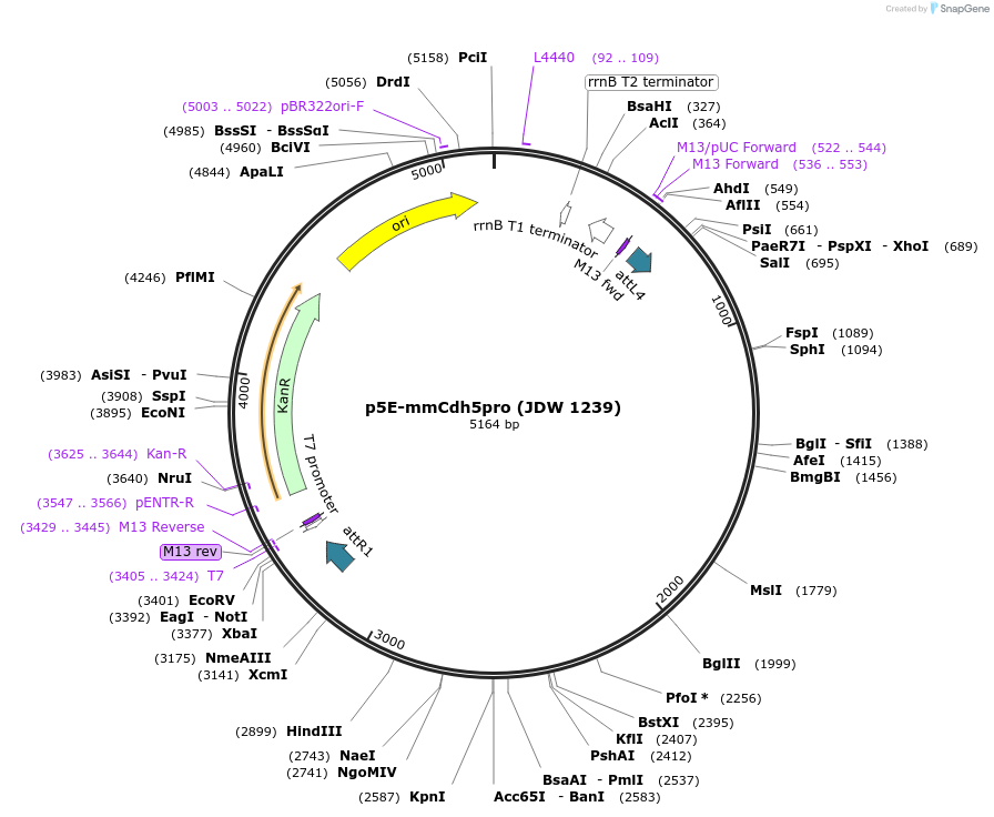 447202_map