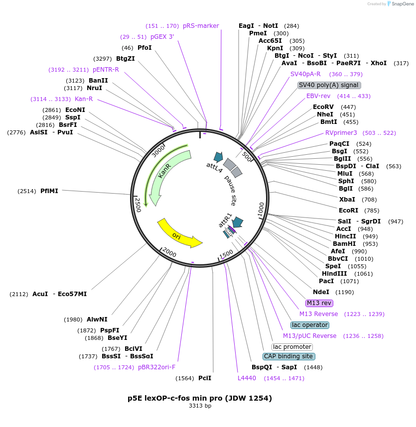 447205_map