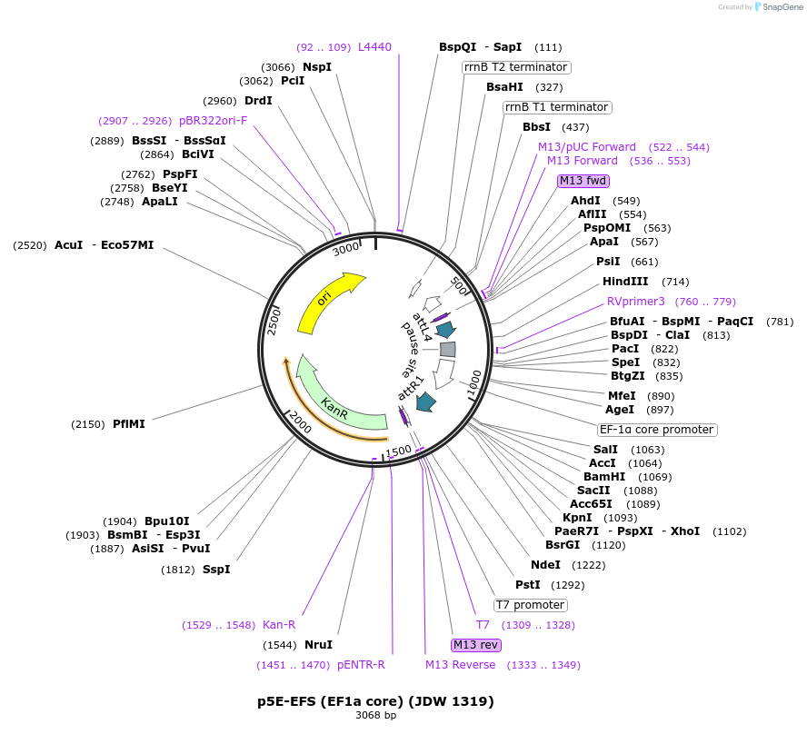 447208_map