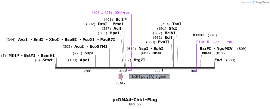 44726_map