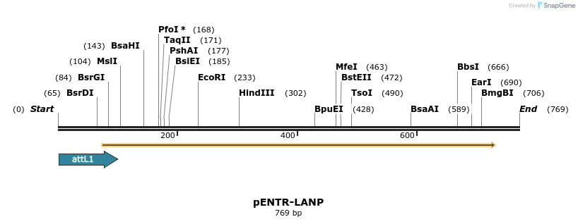 44731_map