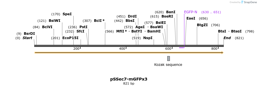 44735_map