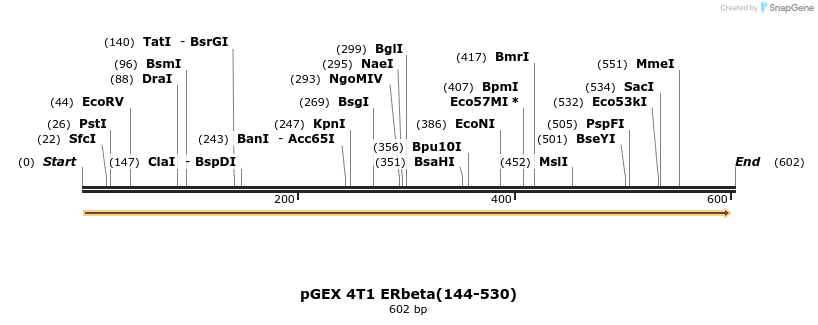 44736_map