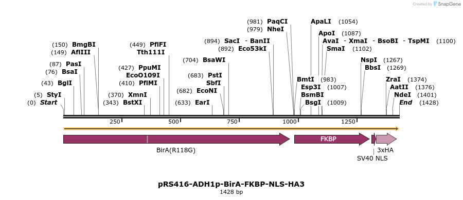 447377_map