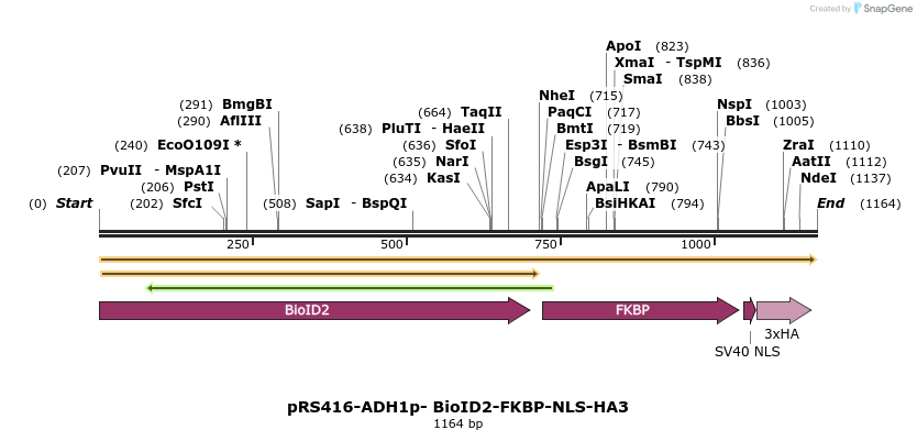 447381_map