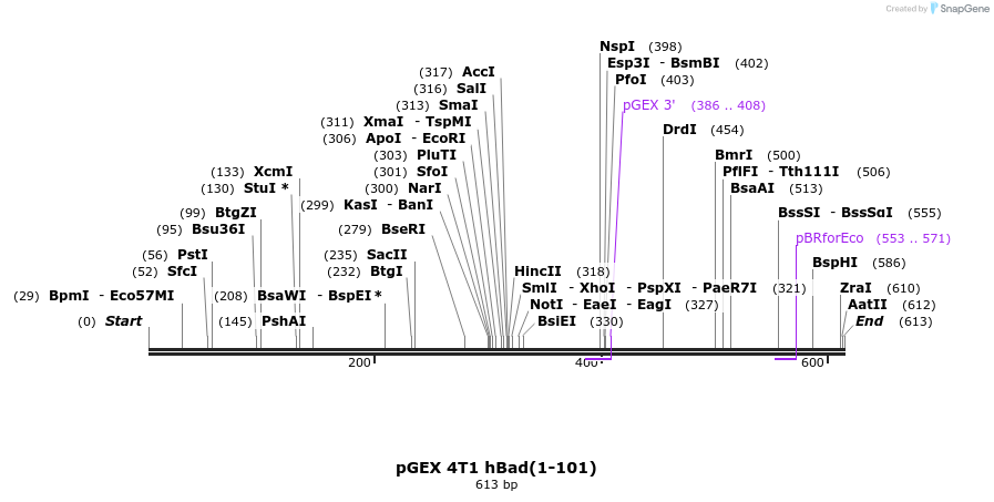 44744_map