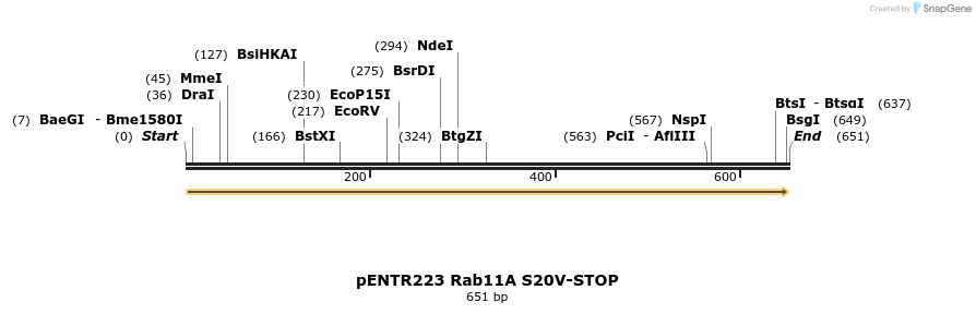 447456_map
