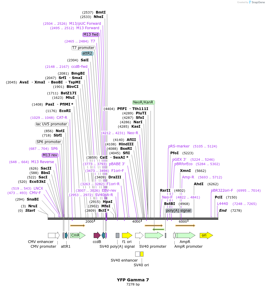 44746_map