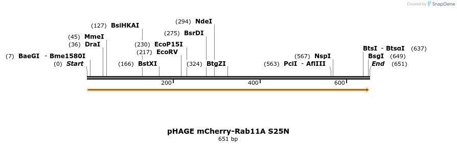 447466_map