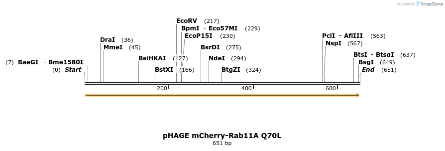 447468_map