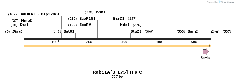 447471_map