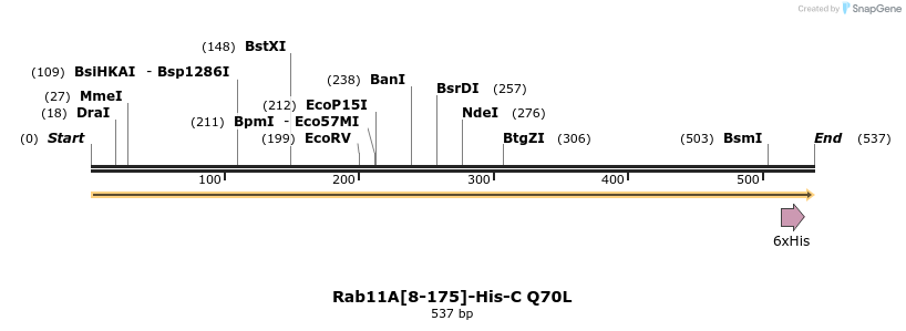 447473_map