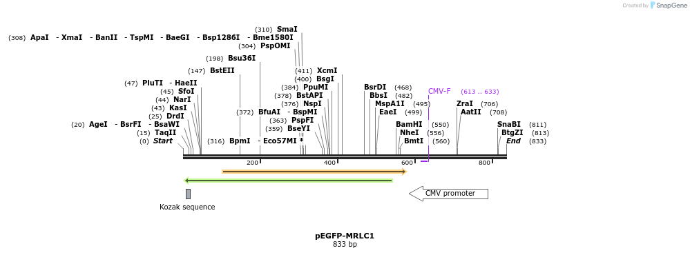 44754_map