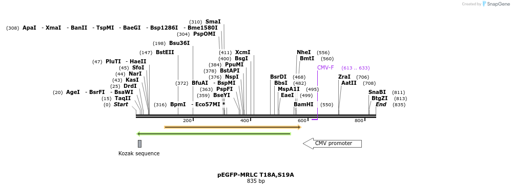 44755_map