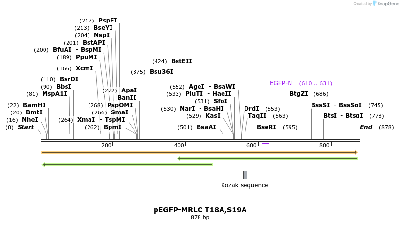 44756_map