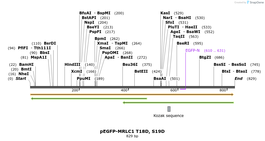 44758_map