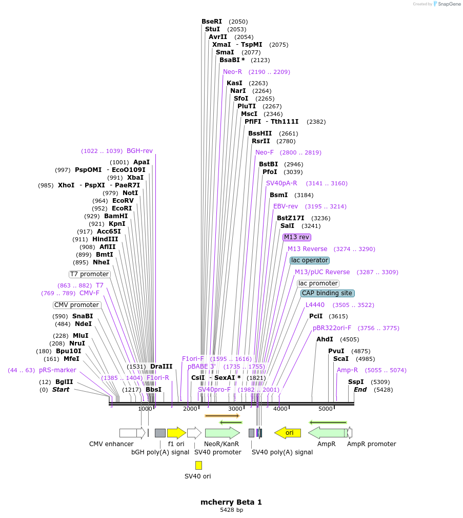 44759_map