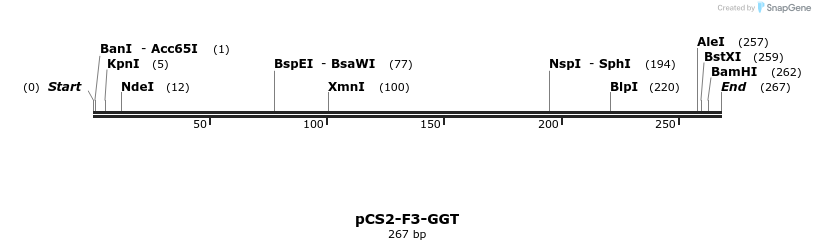 44767_map