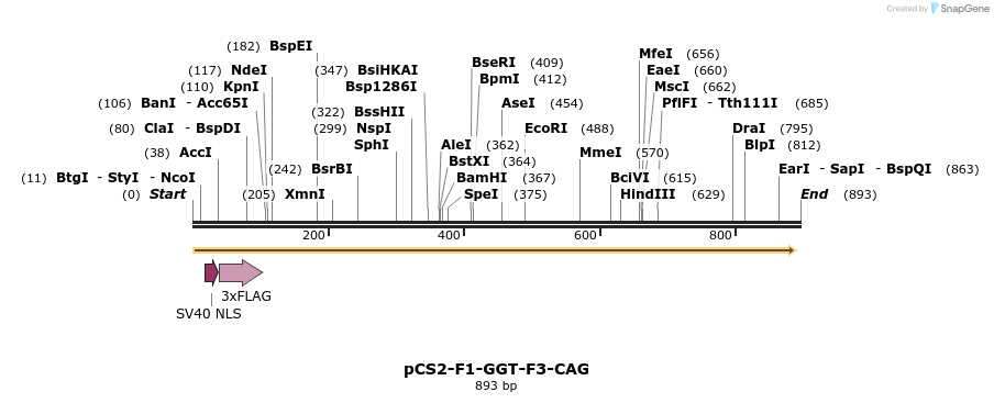 44771_map