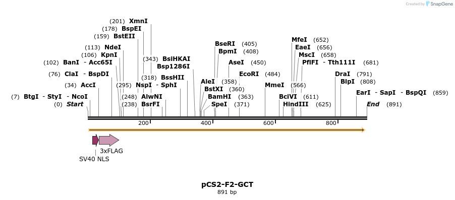 44772_map
