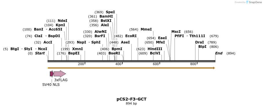 44774_map