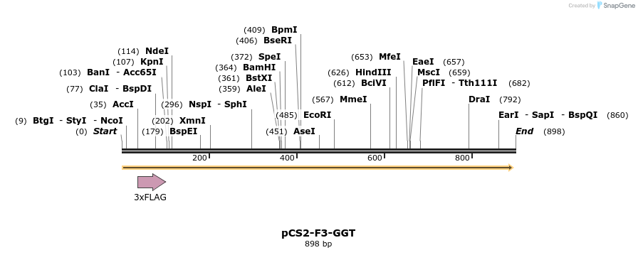 44775_map