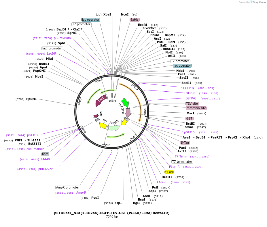 447750_map