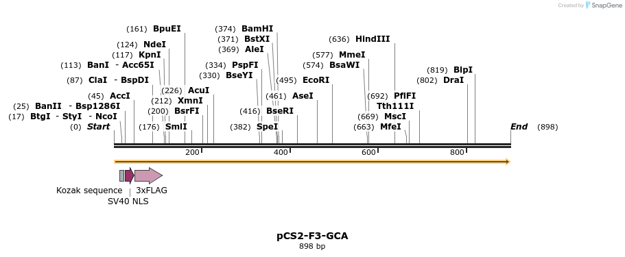 44776_map