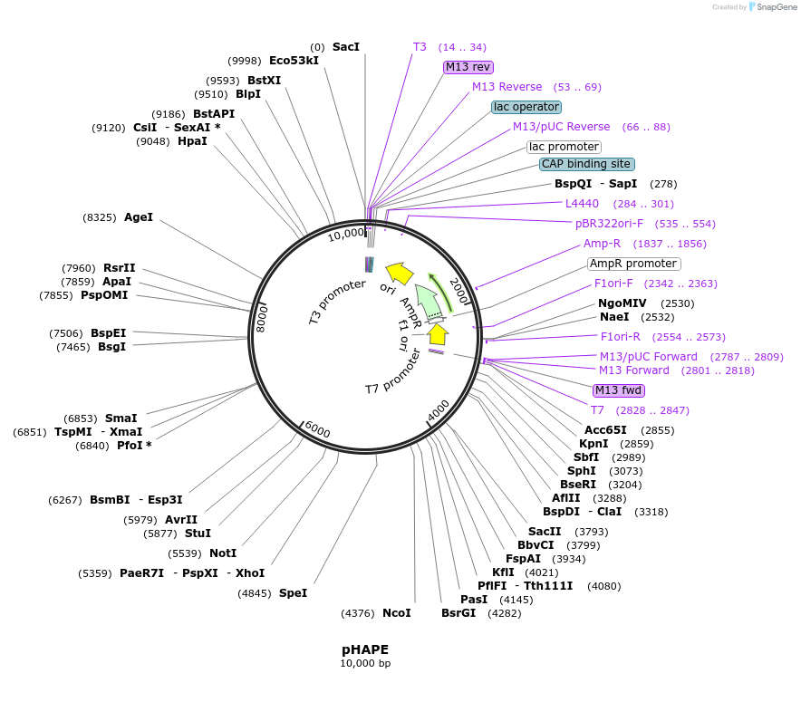 447884_map