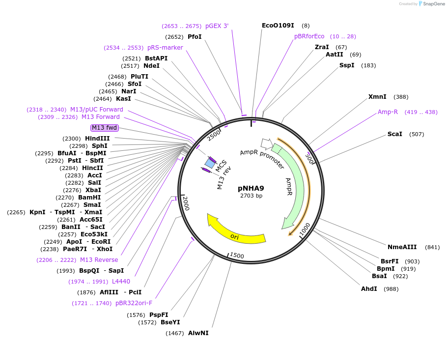 447898_map