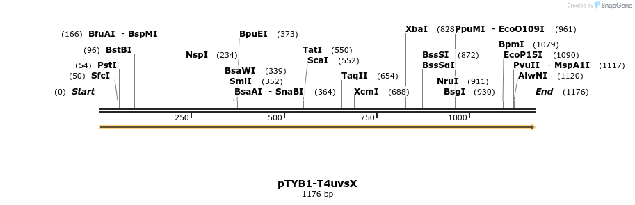 447899_map