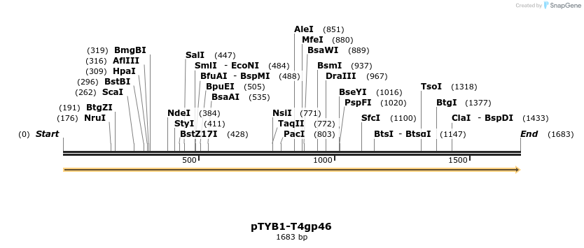 447903_map