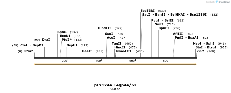 447920_map