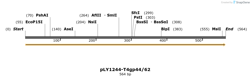 447921_map
