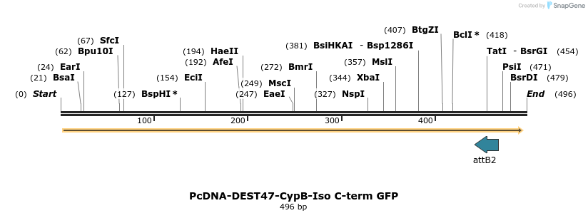 44795_map