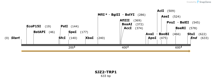 447979_map
