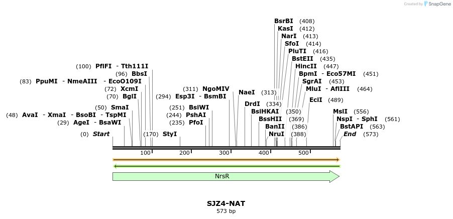 447981_map