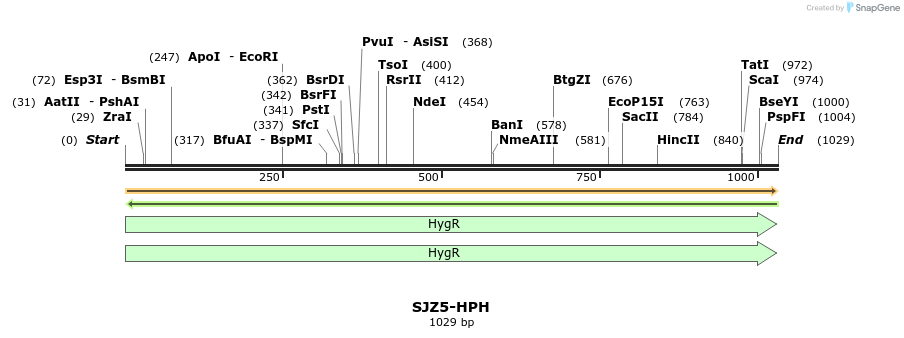 447983_map