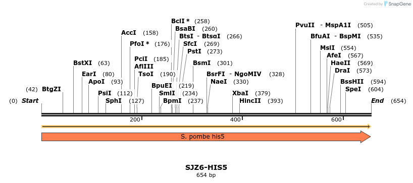 447985_map