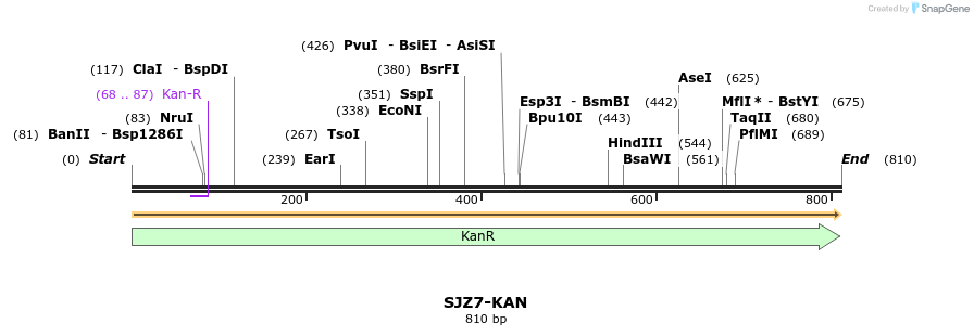 447987_map