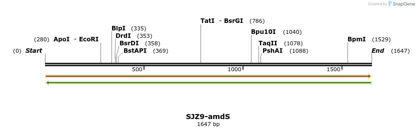 447989_map