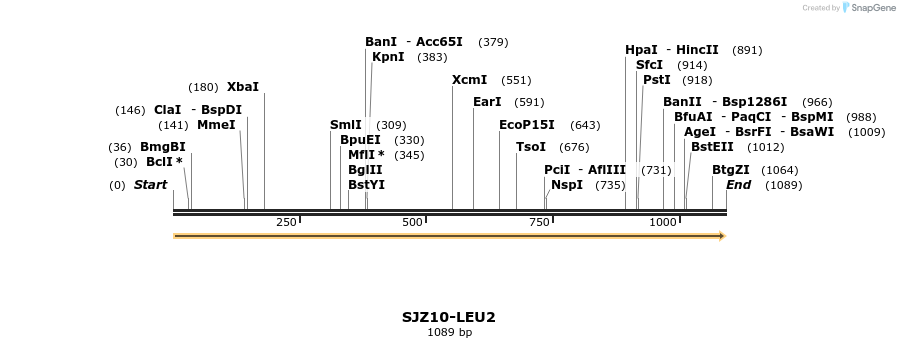 447991_map
