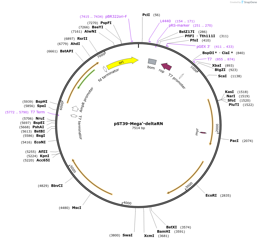 448051_map