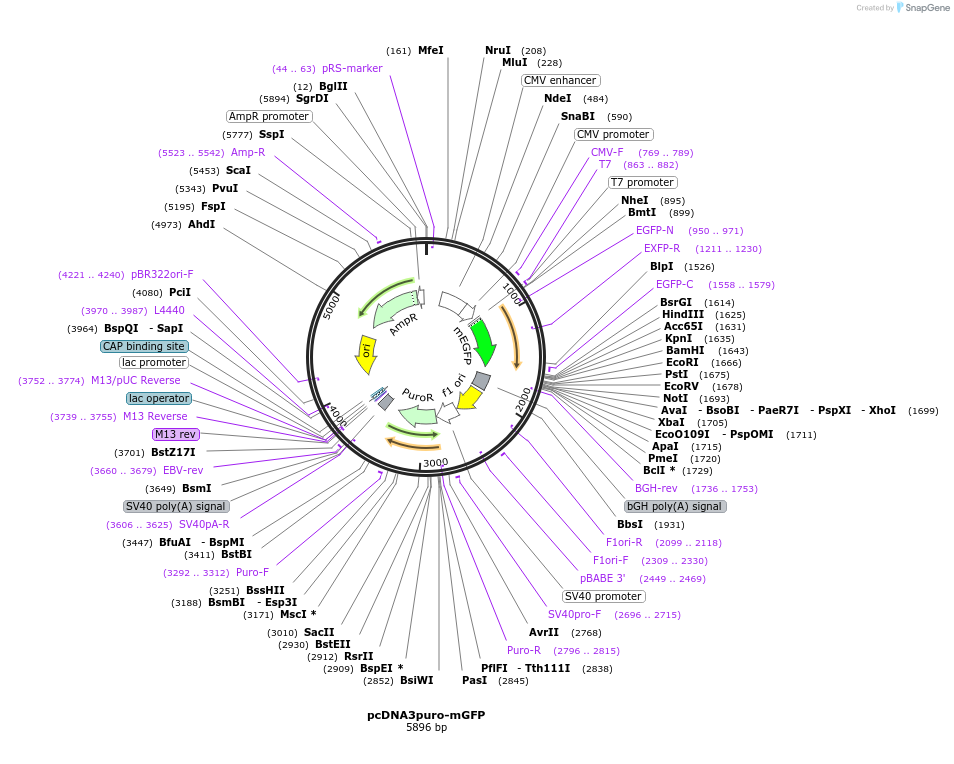 448150_map