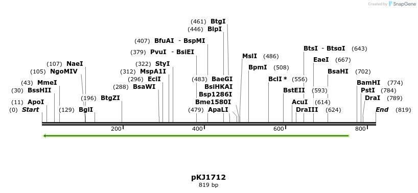 44819_map