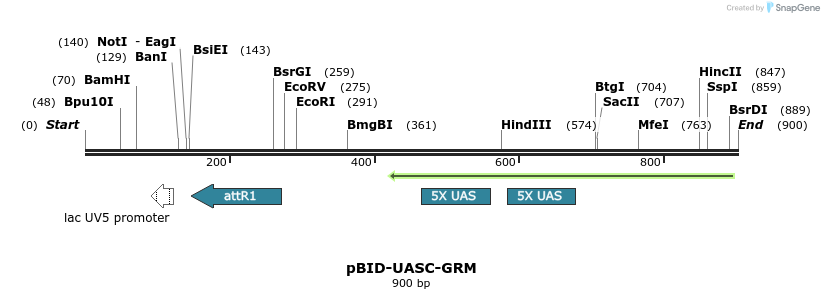 44821_map