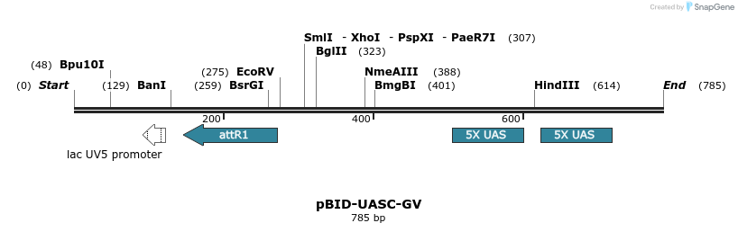 44822_map