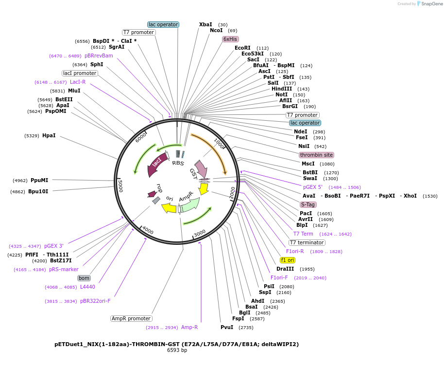 448300_map